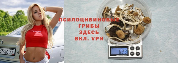 шишки Алексеевка