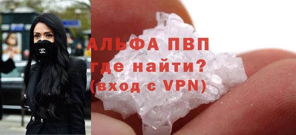 ГАЛЛЮЦИНОГЕННЫЕ ГРИБЫ Горняк