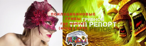 шишки Алексеевка
