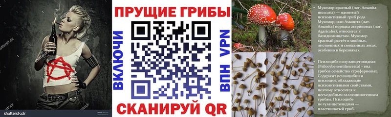 Псилоцибиновые грибы GOLDEN TEACHER  Карпинск 