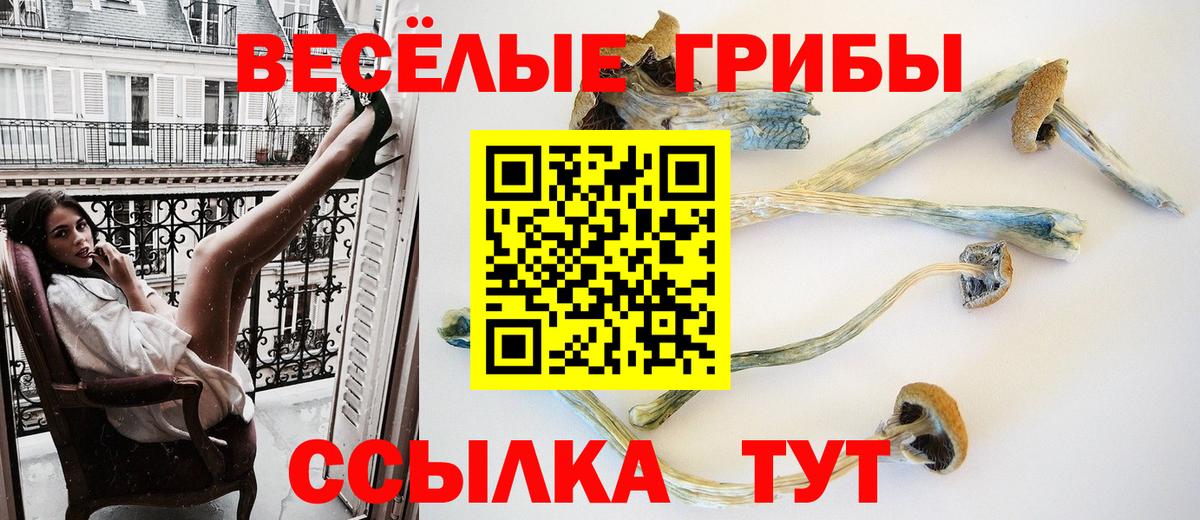 Галлюциногенные грибы Cubensis  Псилоцибиновые грибы Psilocybine cubensis  Вход с VPN  Карпинск 